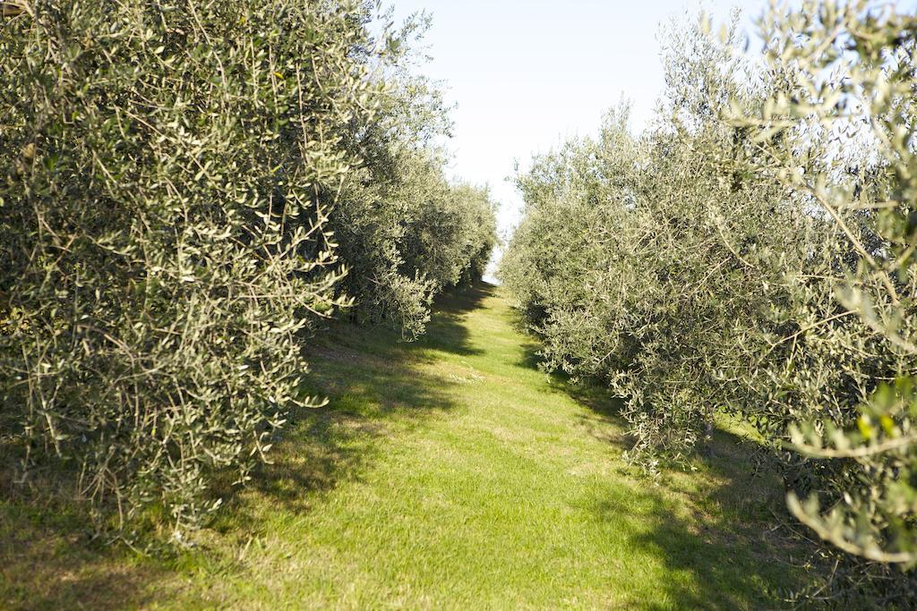 Agriturismo Marani Arcugnano Exterior foto